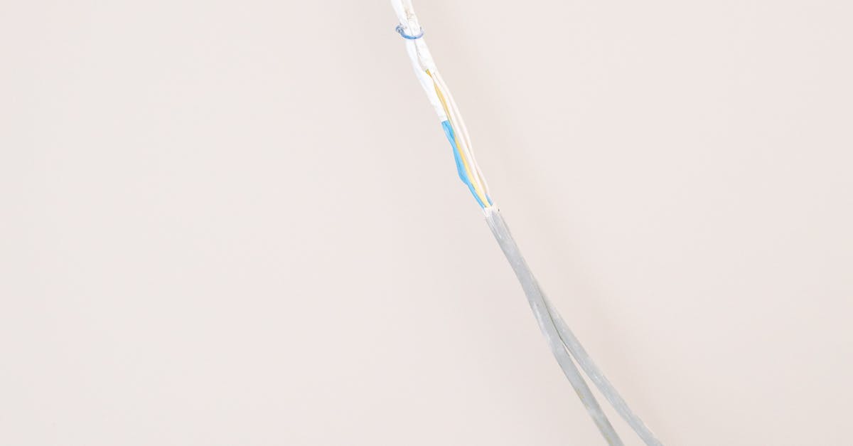 The Value of Customer Opinions in Electrical Service Recommendations